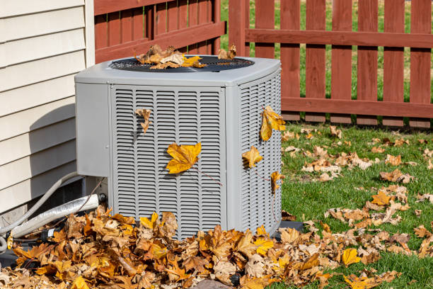Best HVAC Tune-Up Services  in Blue Grass, IA